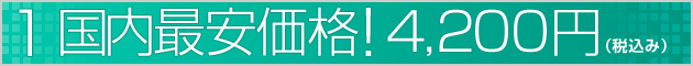 国内最安価格！4,200円（税込み）